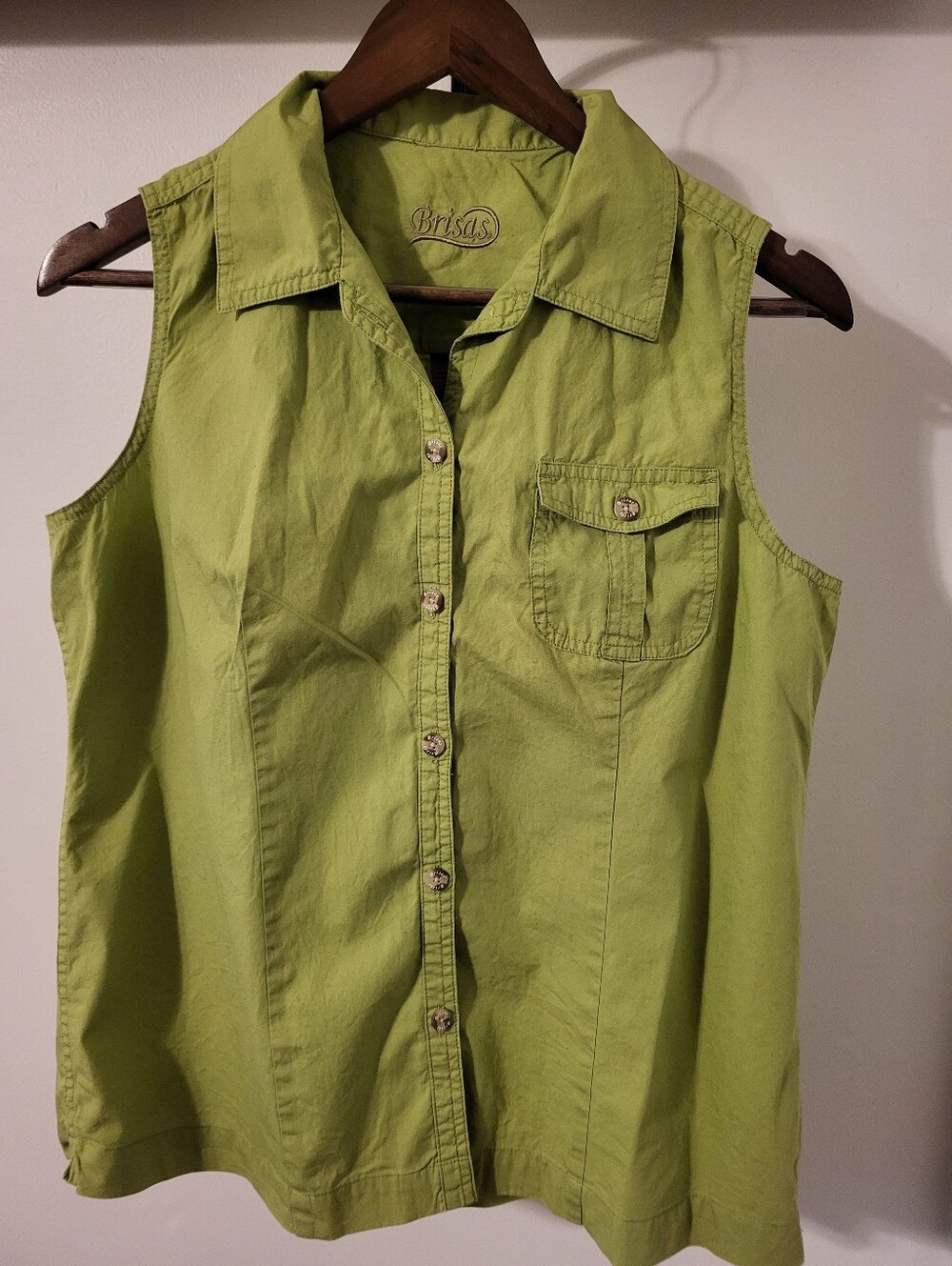 Brisas Green Button Down Top